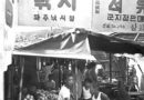 파주의 재래시장 역사 기행