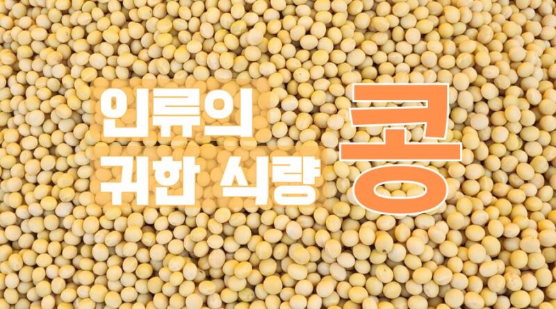 인류의 귀한 식량, 콩 – 강근숙